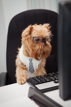 Are you a Business Owner or Manager?