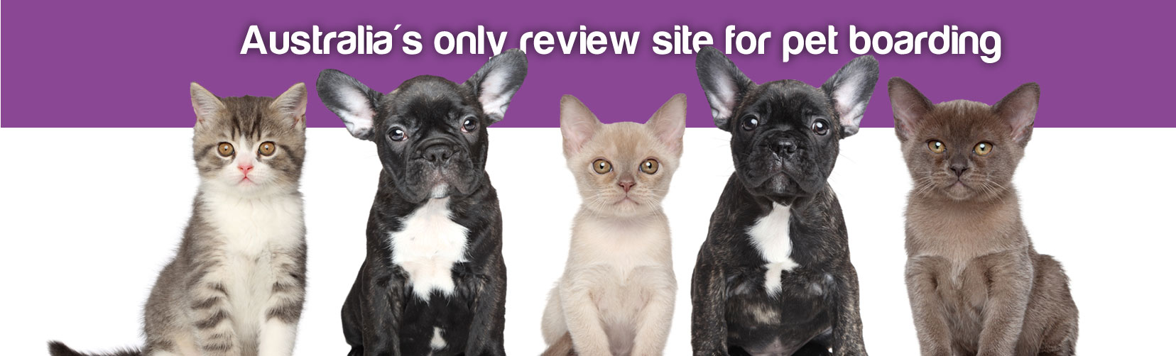 PetStayAdvisor Australia's only review site for pet boarding