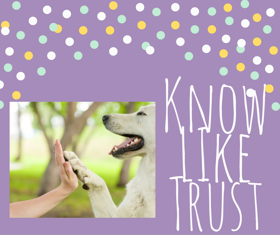 know like trust petboarding