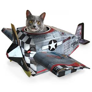 cat-plane-playhouse-card