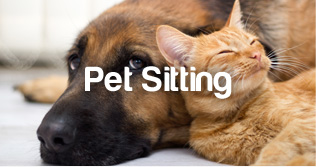 PetStayAdvisor Pet Sitting