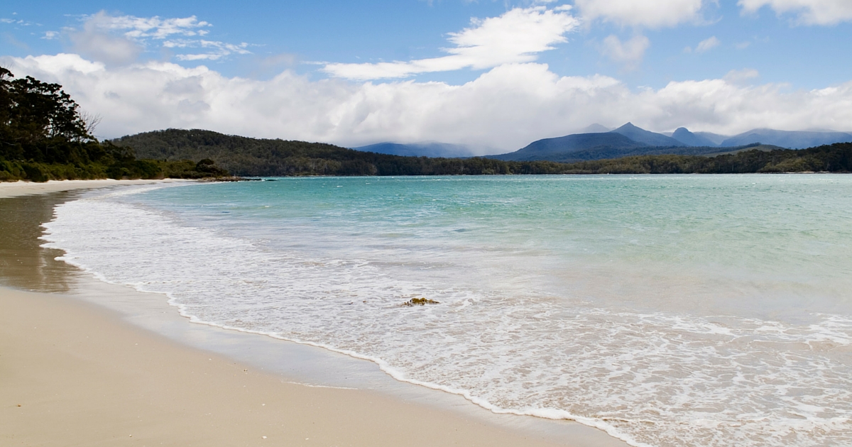 dog friendly Tasmania