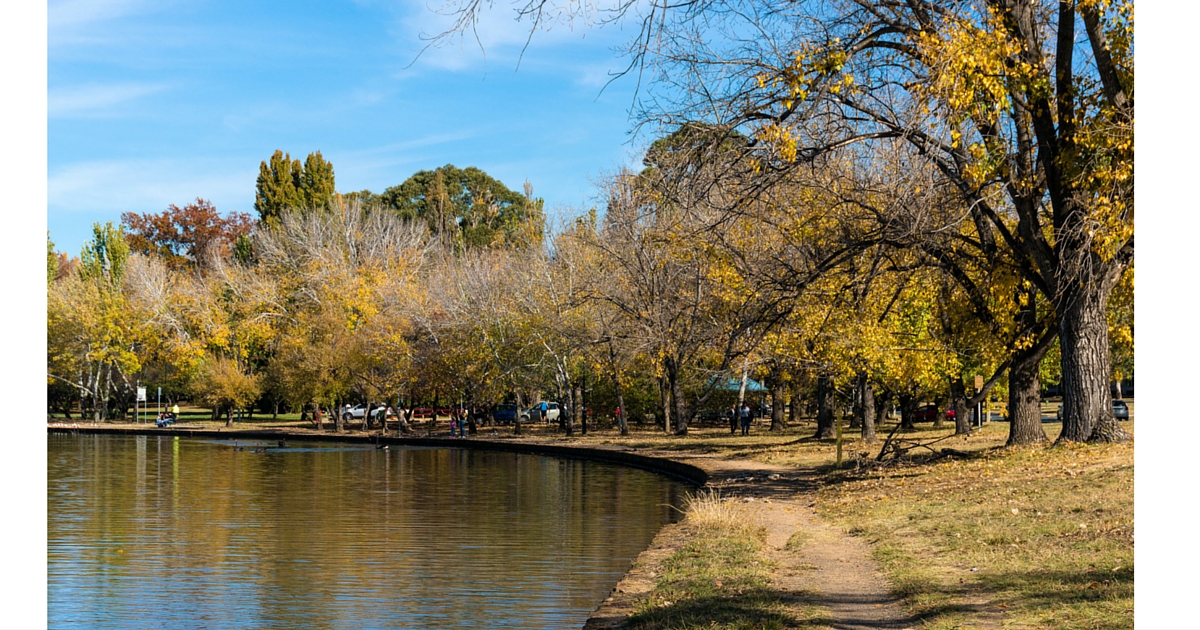 canberra-pet-friendly-dog-walks