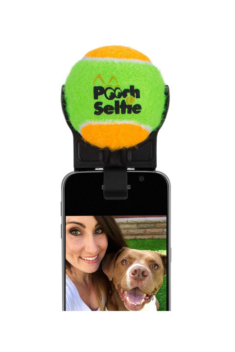 Dog Selfie Stick